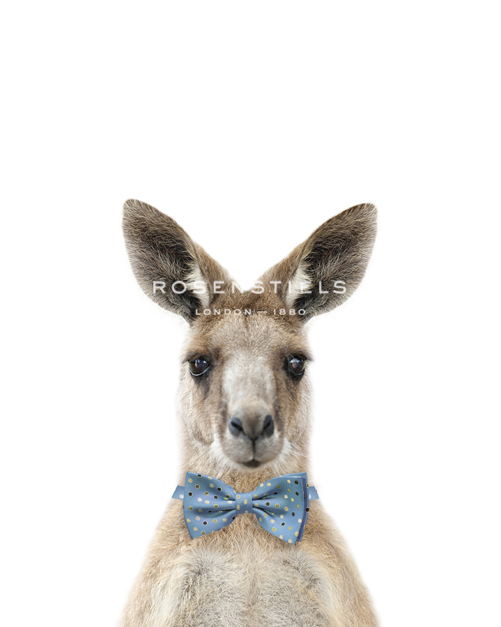 Dapper Kangaroo - Marco Simoni