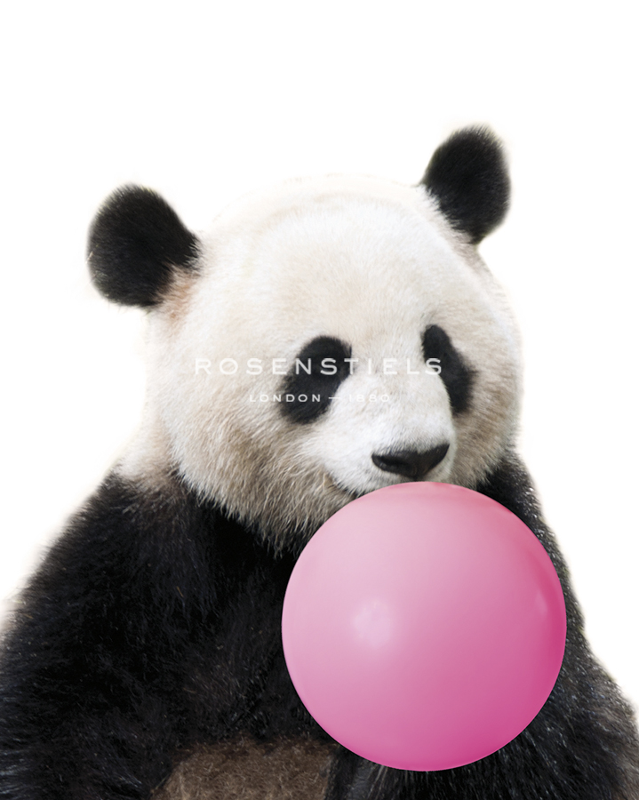 Panda Pop - Contemporary Photography