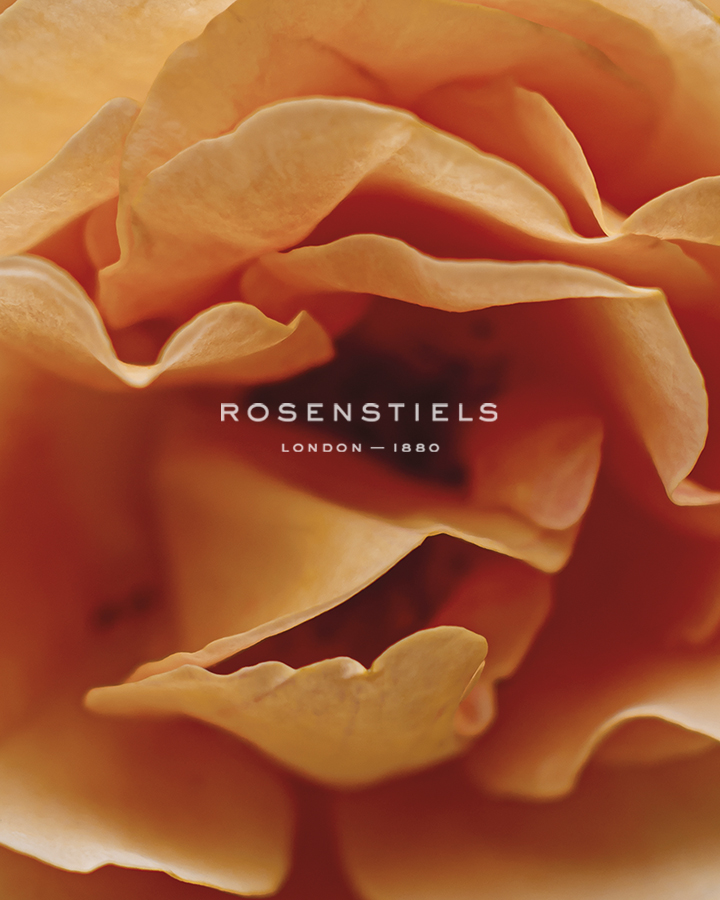 Romantic Rose - Soft - Florian Schleinig