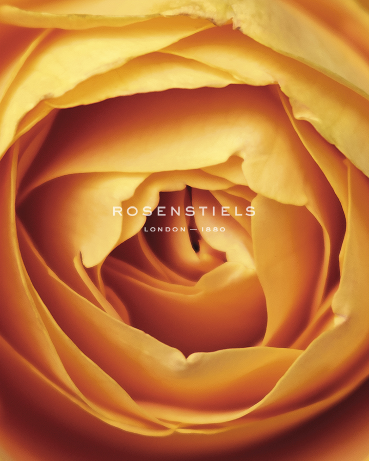 Romantic Rose - Silk - Florian Schleinig