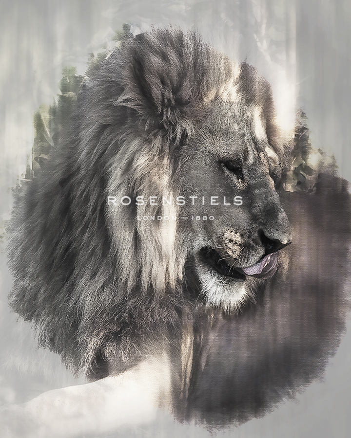 Mighty Leo - Bobbie Goodrich