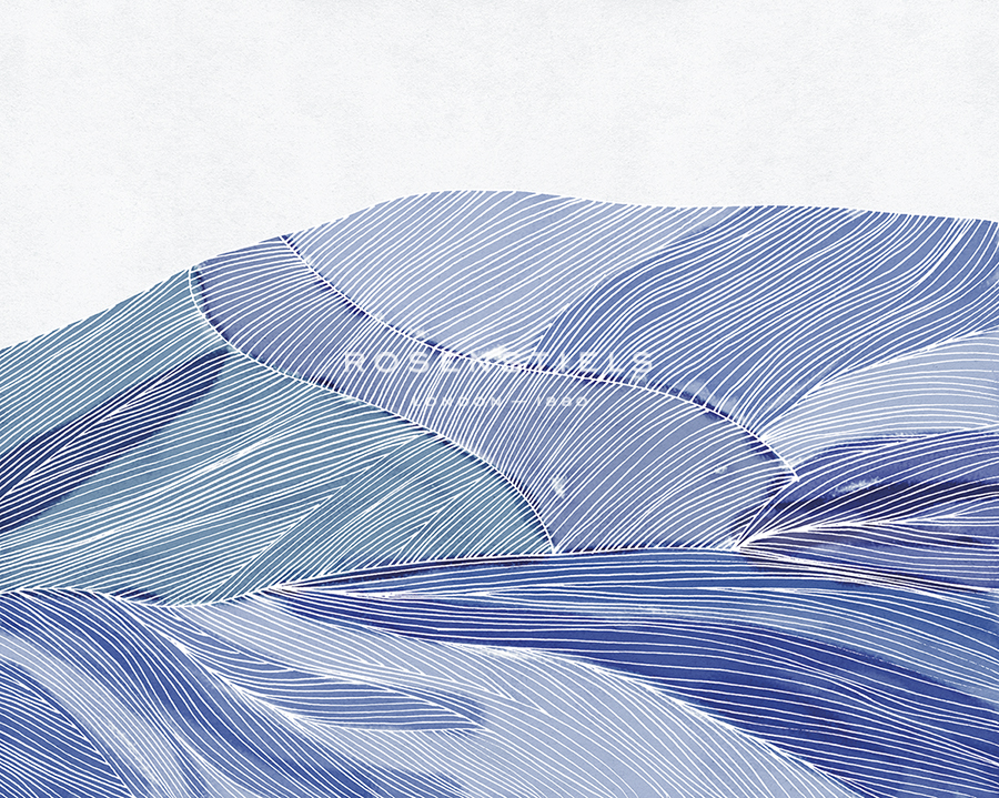Linear Wave - Flow - Belle Poesia
