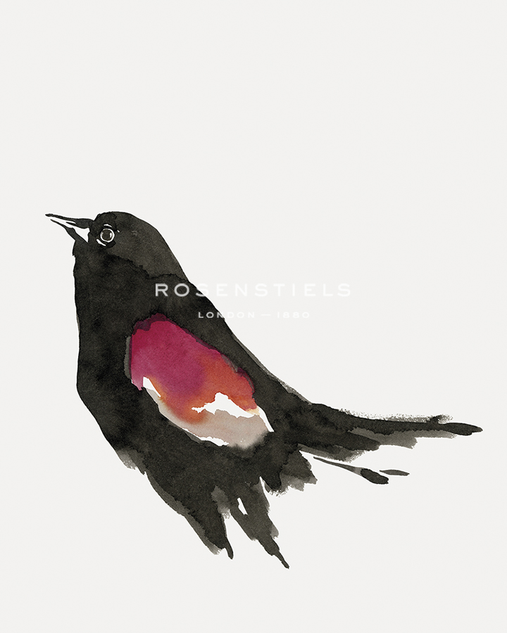 Painterly Perch - Curious - Maja Gunnarsdottir