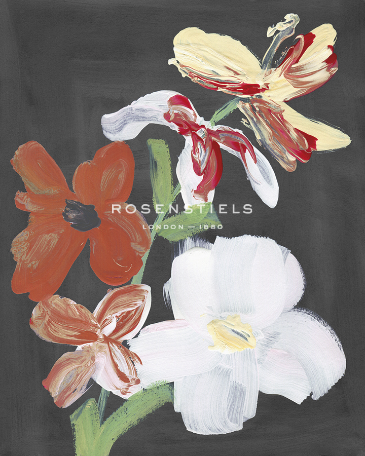 Bold Blooms - Posy  - Belle Poesia