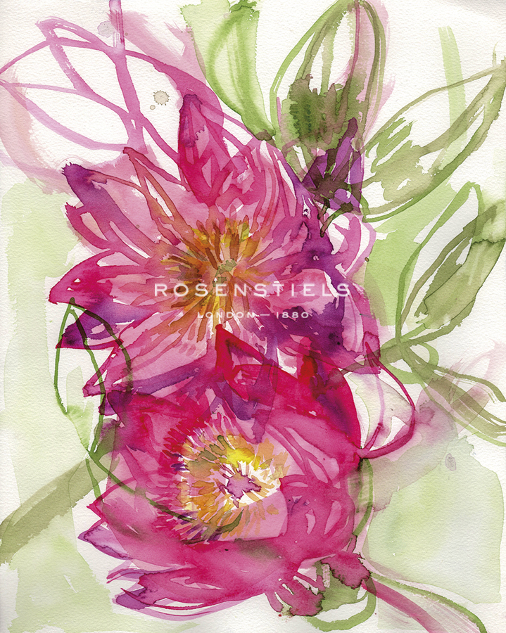 Pink Water Lillies - Paula Mills