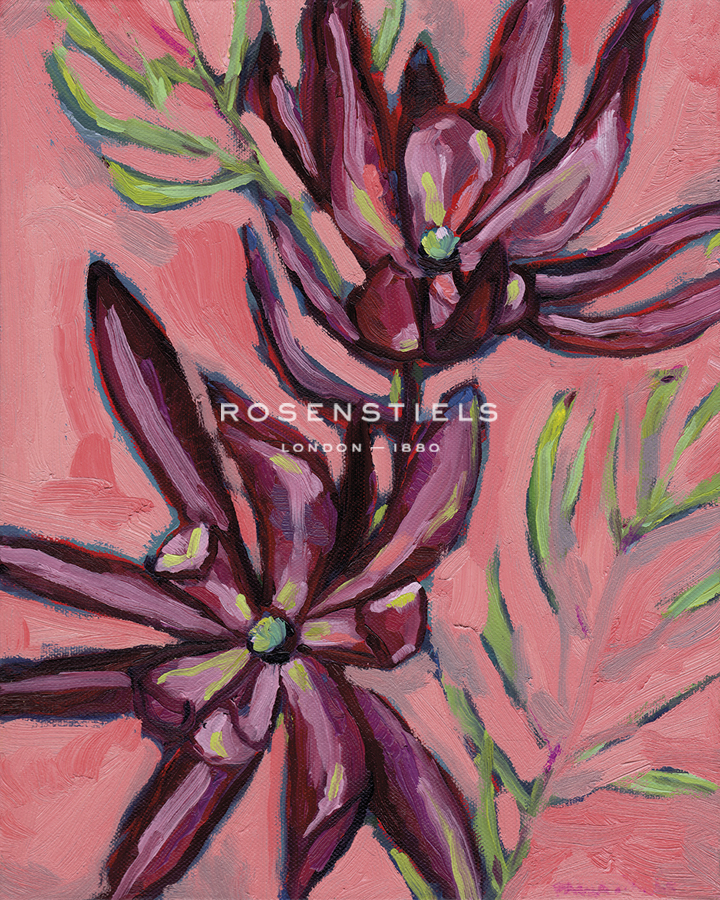 Fynbos Flowers - Paula Mills