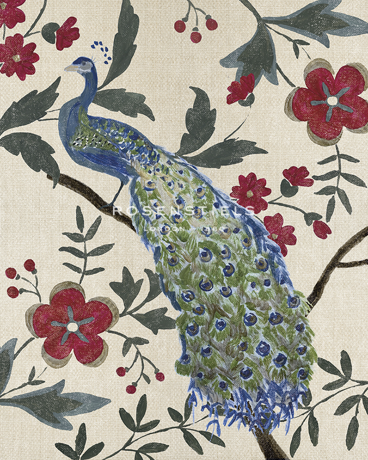 Peacock Place - Belle Poesia