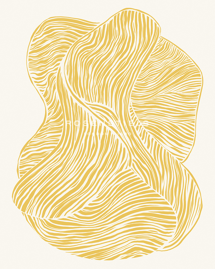 Marigold Markings - Ebb - Lisa McCandless