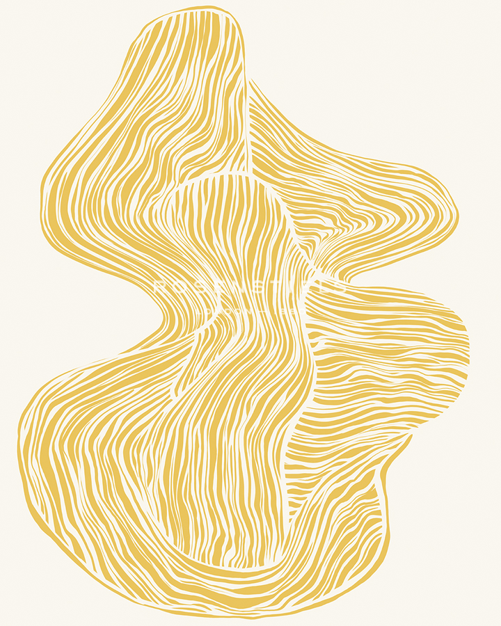 Marigold Markings - Flow - Lisa McCandless