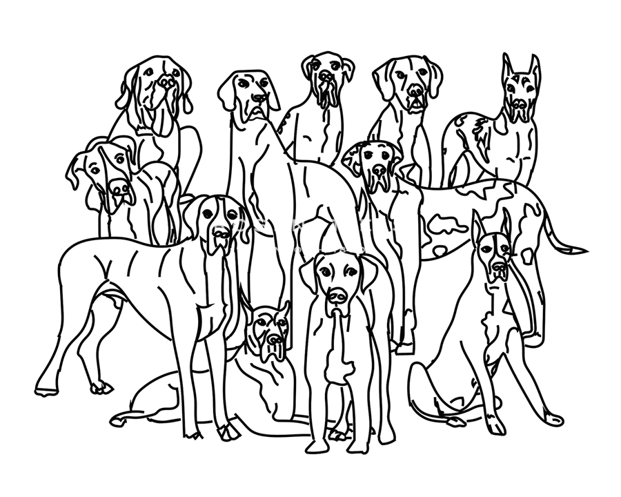 Canine Collage - Active - Whitney  Niesz