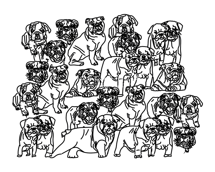 Canine Collage - Playful - Whitney  Niesz