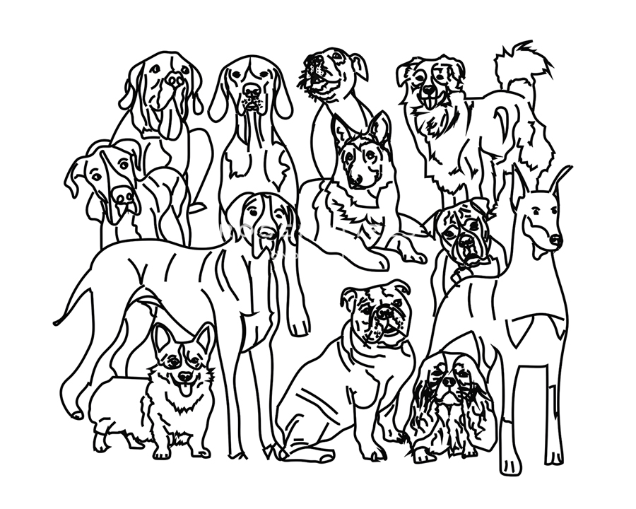 Canine Collage - Loyal - Whitney  Niesz