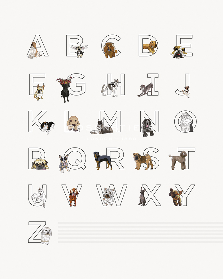 Canine Alphabet - Whitney  Niesz