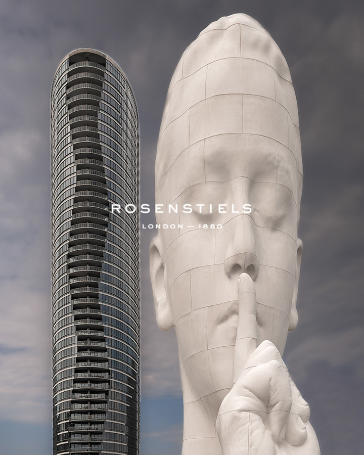 Resounding Noise - Ash Camas