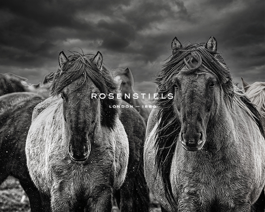Snow Horses - Bobbie Goodrich