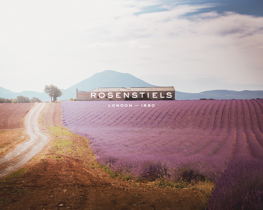 Purple Prairie Plains - Store - Florian Schleinig