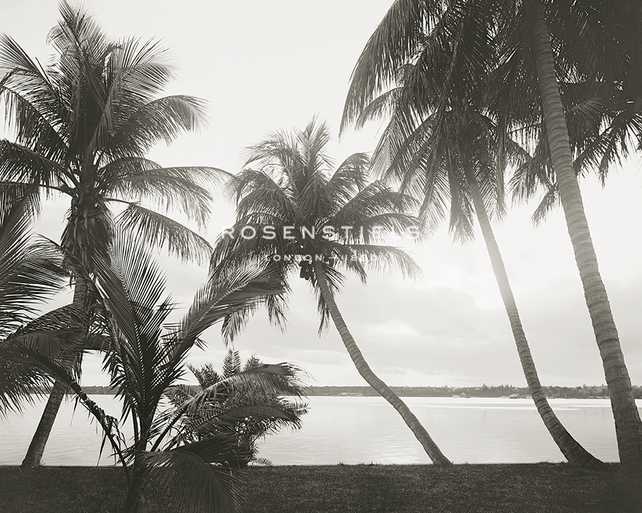 Lake Sunset - The Vintage Collection