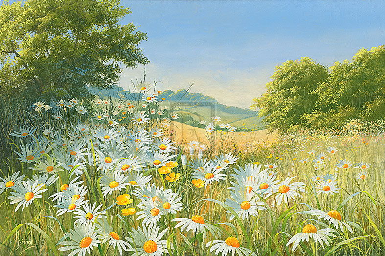 Mostly Daisies - Mary Dipnall