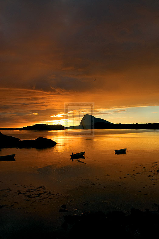 Golden Hue - Andreas Stridsberg
