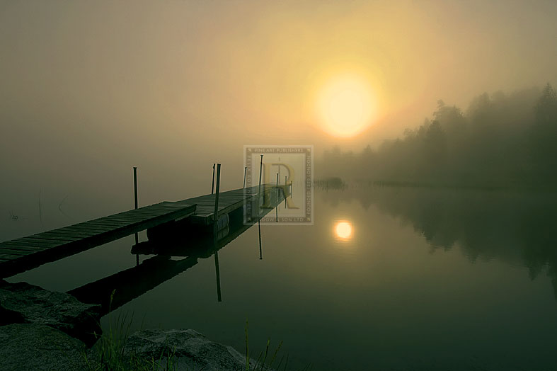Dream Pool - Andreas Stridsberg