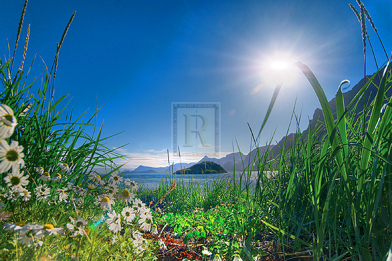 Fresh Light - Andreas Stridsberg