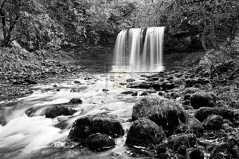 Woodland Waterfall - Joseph Eta