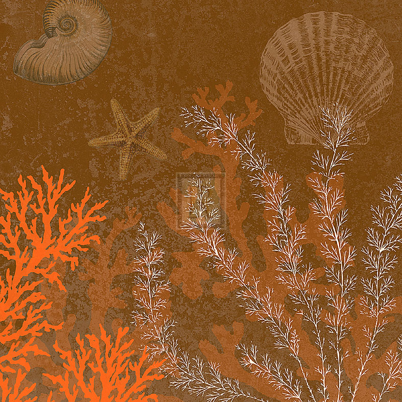 Coral Garden II - Max Carter