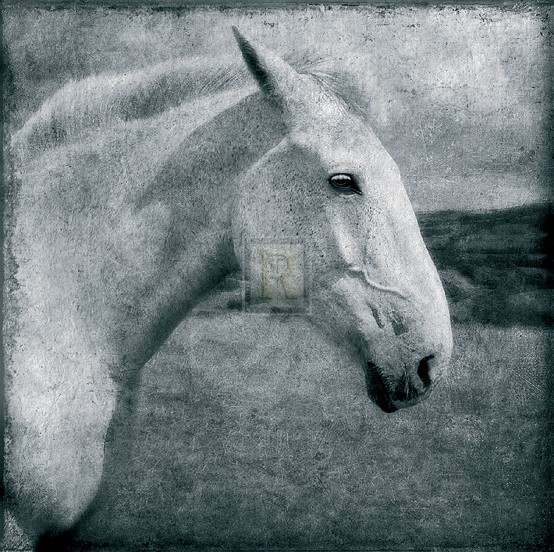 Knight's Steed - Pete Kelly