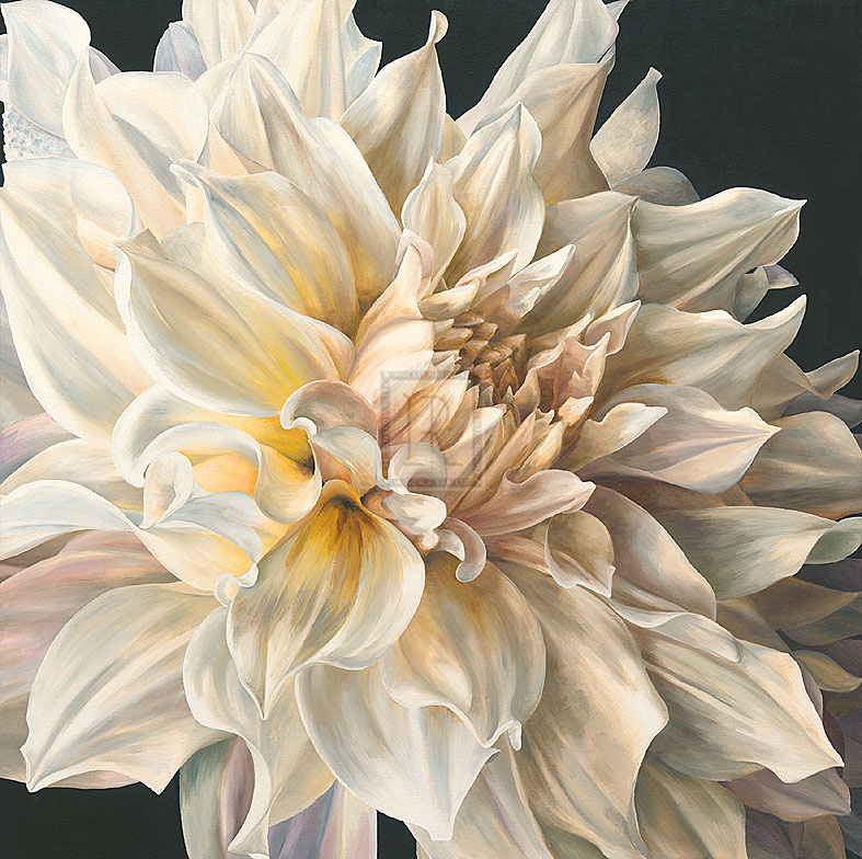 White Light - Sarah Caswell