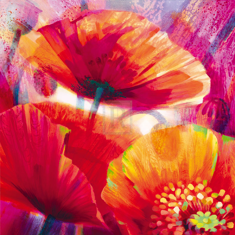 Amid Poppies I - Nick Vivian