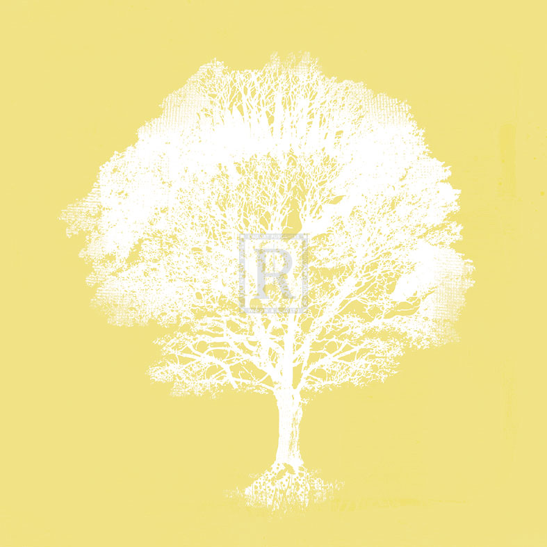 Dream Tree I - Ken Hurd