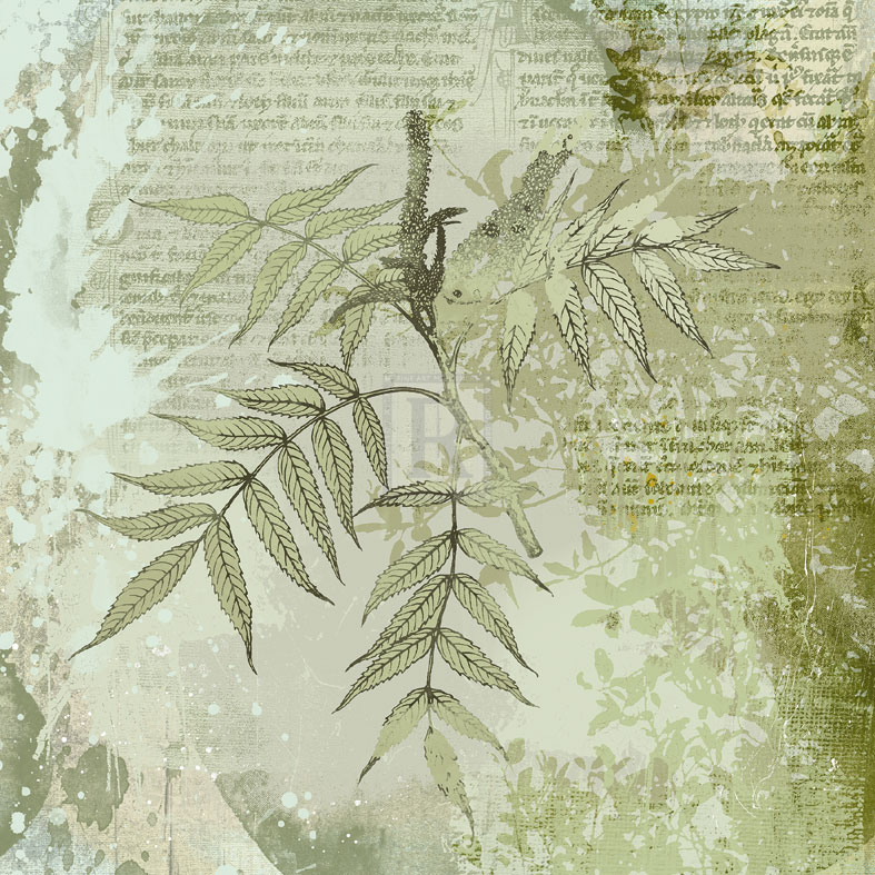 Forest Green II - Ken Hurd