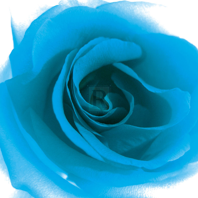 Blue Summer Petals - Katja Marzahn