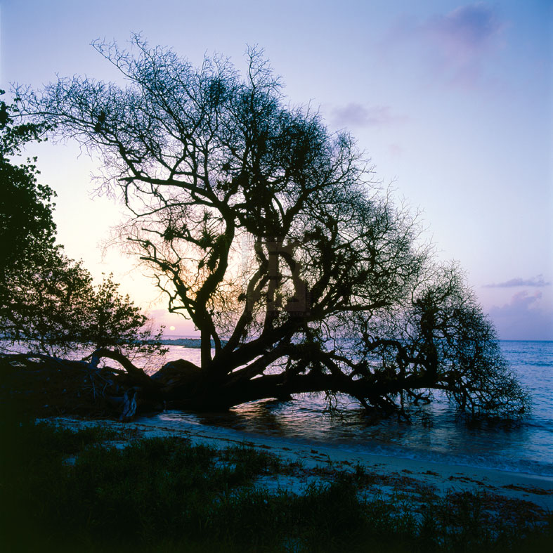 Along the Shore - Mike Toy