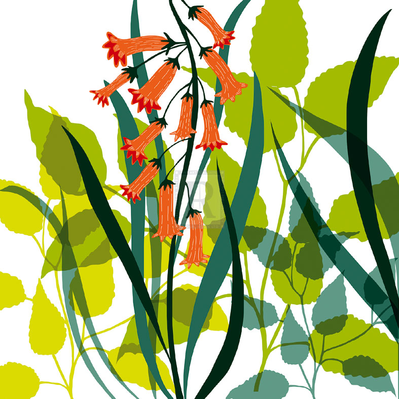 Flower Applique II - Laure Girardin Vissian