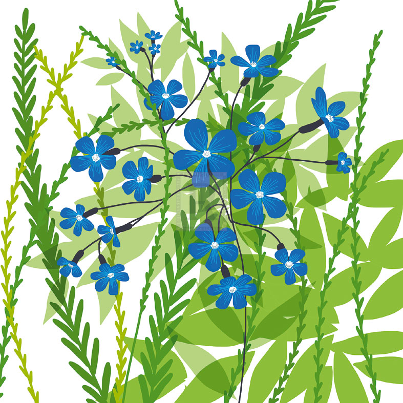 Flower Applique III - Laure Girardin Vissian