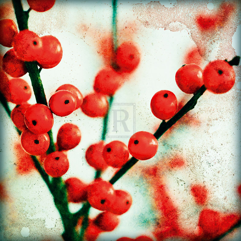 Ilex II - James Guilliam