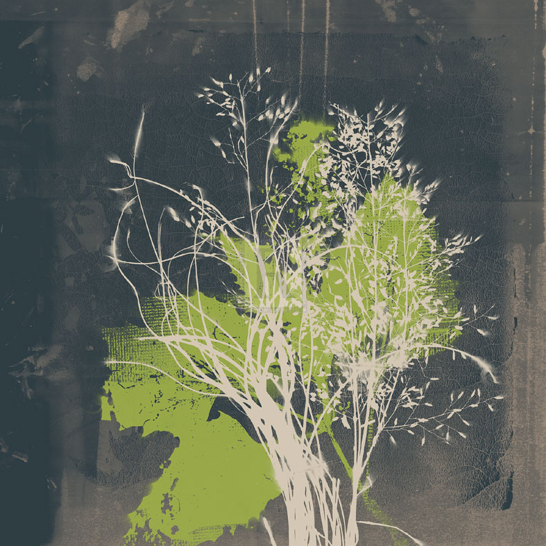 Natures Harmony VII - Ken Hurd