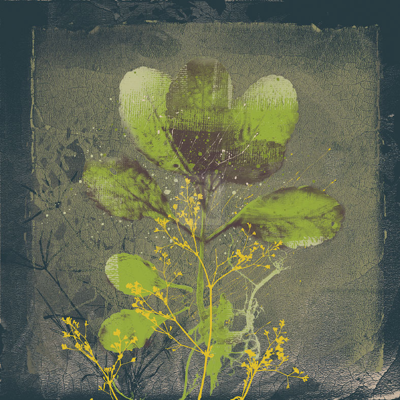 Natures Harmony VIII - Ken Hurd