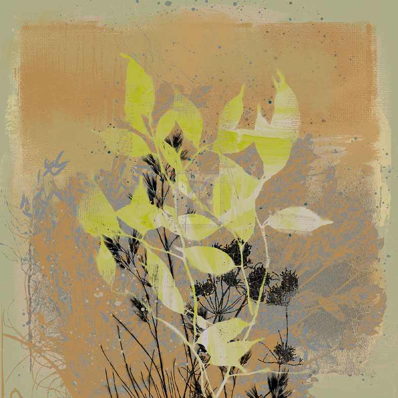 Natures Harmony III - Ken Hurd