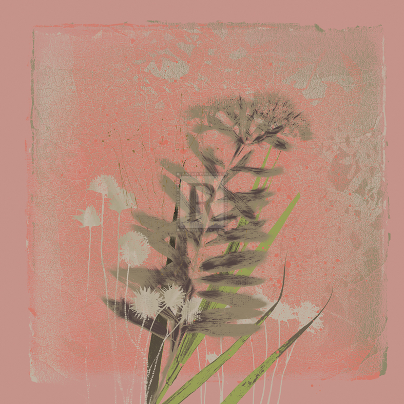 Natures Harmony IV - Ken Hurd