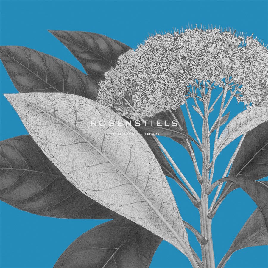 Botaniska I - Maria Mendez