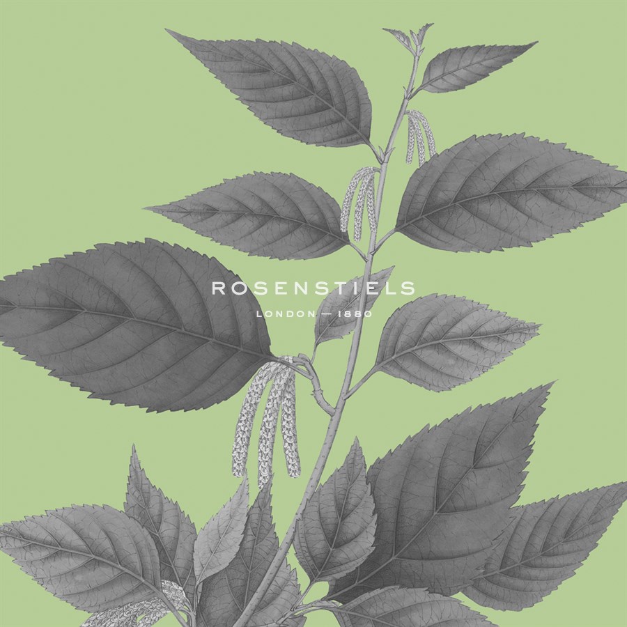 Botaniska IV - Maria Mendez