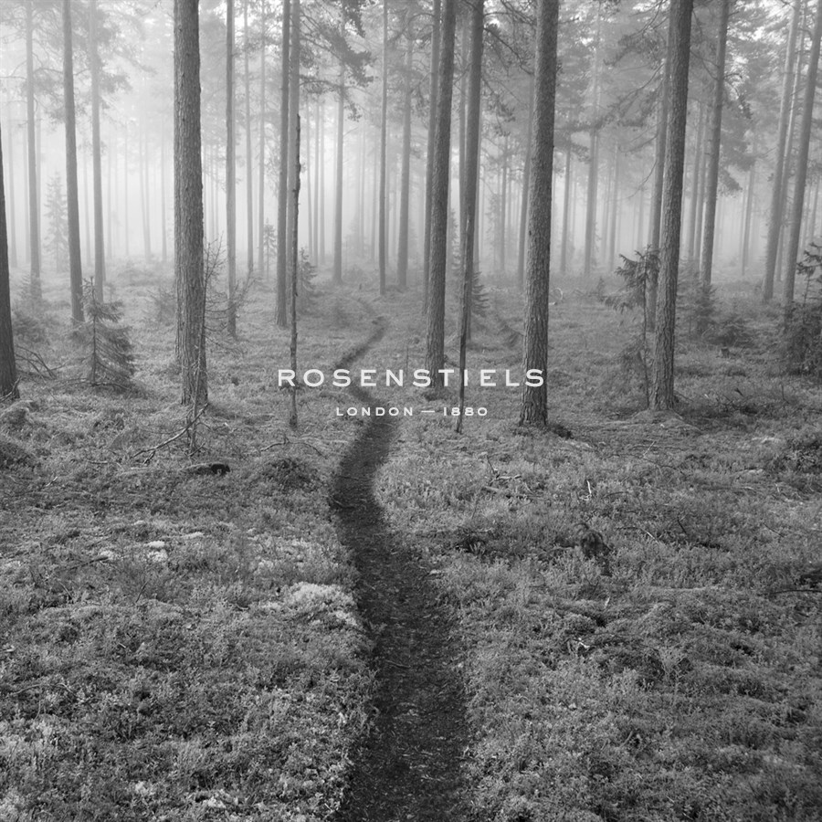 Through the Trees B&W - Andreas Stridsberg