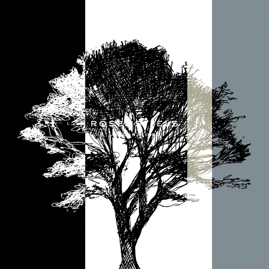 Elm Stripe - Sarah Cheyne