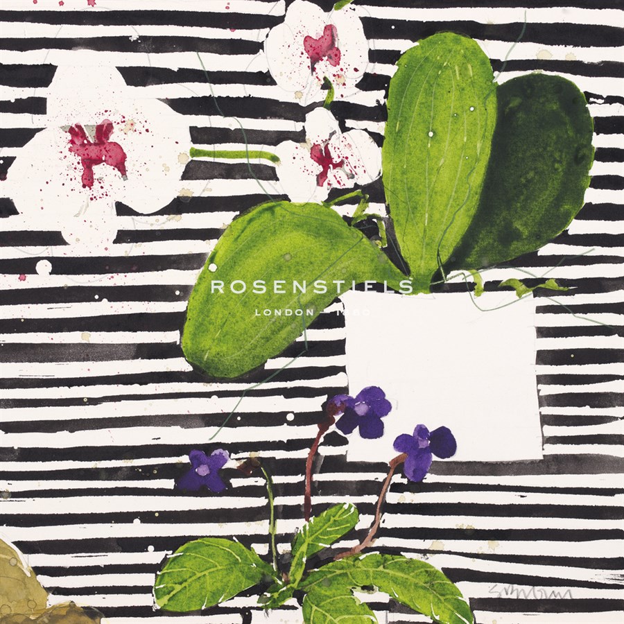 Hothouse Orchids II - Susan Brown