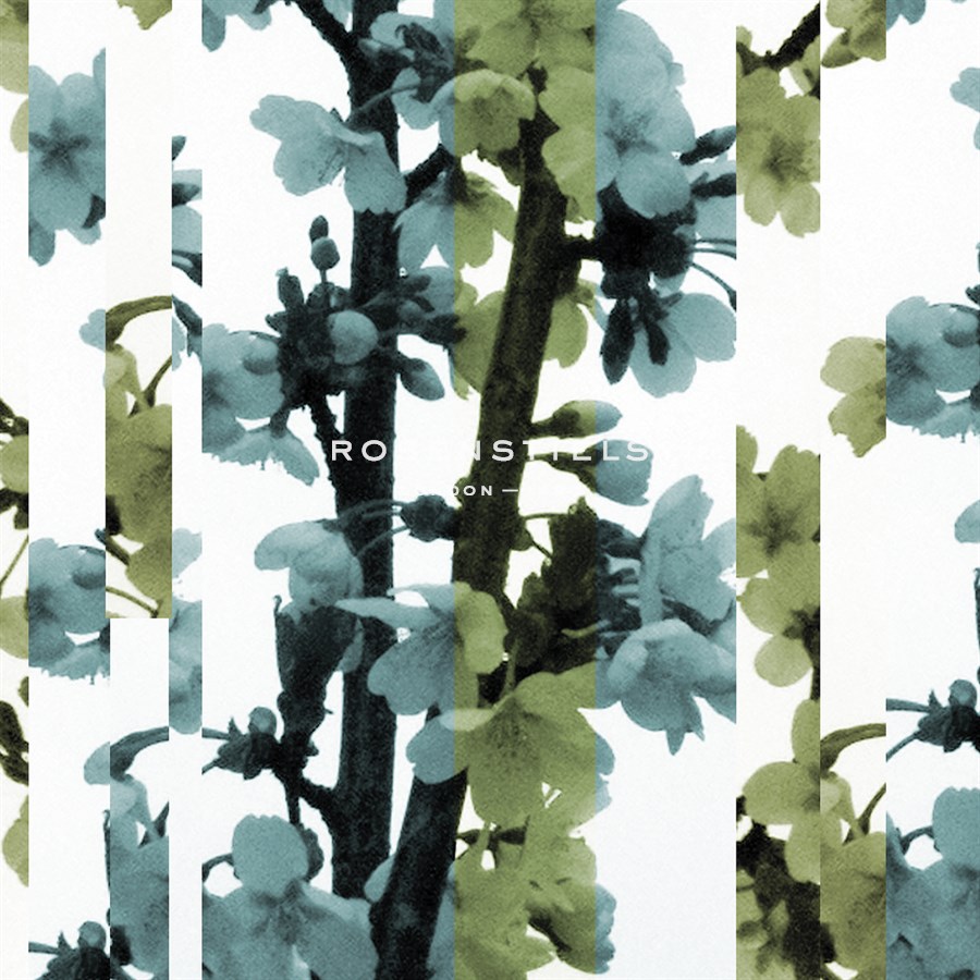 Blossom Shift II - Sarah Cheyne