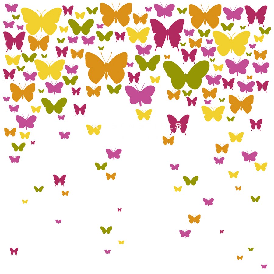Butterfly Cloud - Max Carter