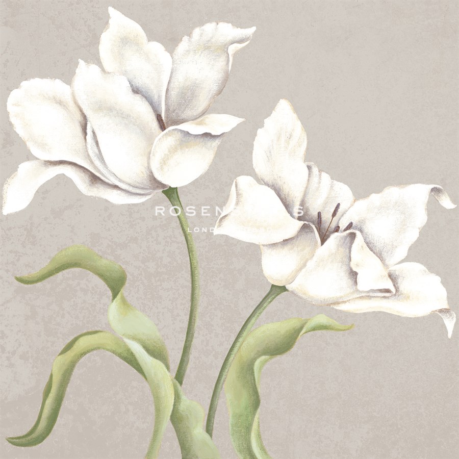 Soft Tulip I - Ellen Hudson