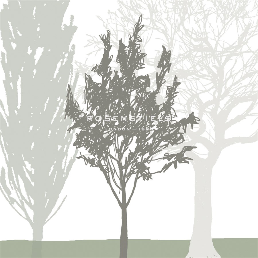 Treeline Trio - Sarah Cheyne